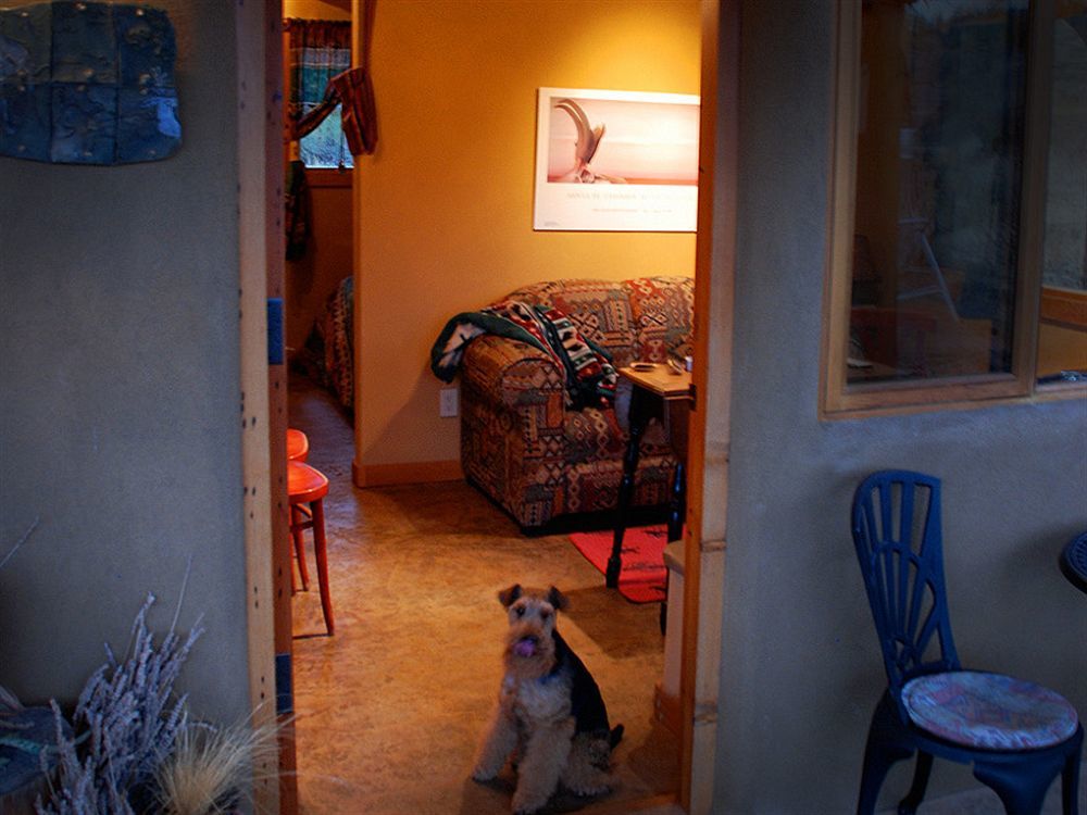 Bighorn Ridge Guesthouse Okanagan Falls Esterno foto