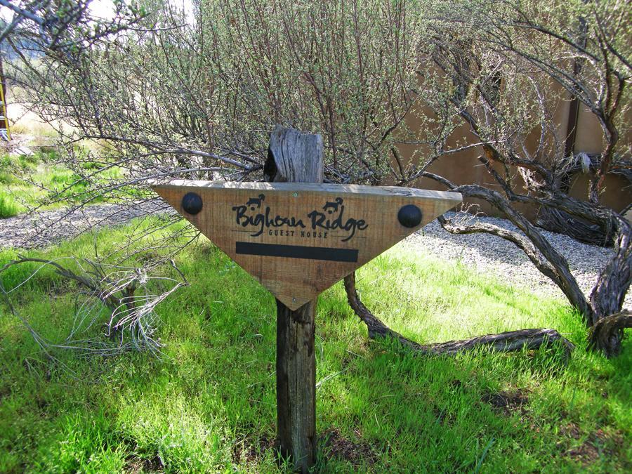 Bighorn Ridge Guesthouse Okanagan Falls Esterno foto